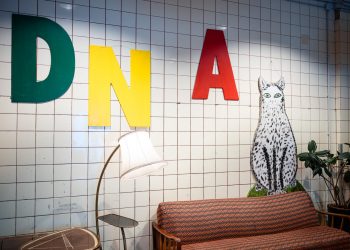 24. Europäische Kinder- und Jugendbuchmesse:
Foto: Oliver Dietze
--
Veröffentlichung nur nach vorheriger Honorar-Vereinbarung und mit Namensnennung.
Oliver Dietze // +49-(0)177-9761996 // post@oliverdietze.de // USt-ID DE262797891